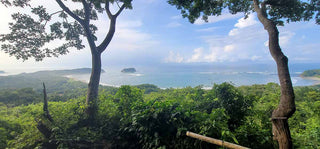 View of Samara Beach in Costa Rica from a look out point in the trees.