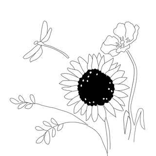 Insight Botanical journal